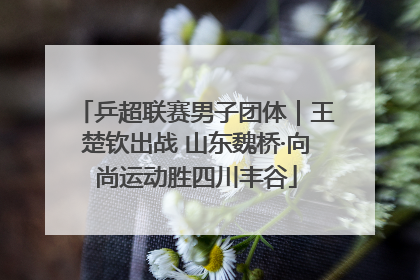 乒超联赛男子团体｜王楚钦出战 山东魏桥·向尚运动胜四川丰谷
